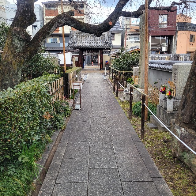 f:id:atoriatoriatori:20250120122111j:image