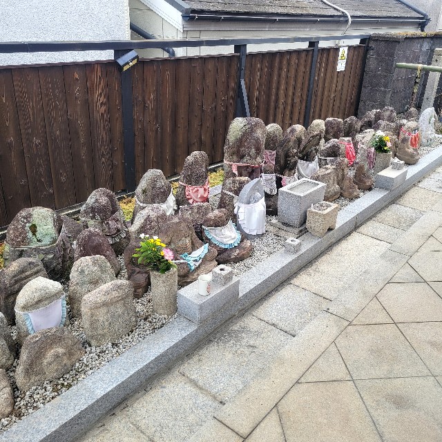 f:id:atoriatoriatori:20250120122448j:image