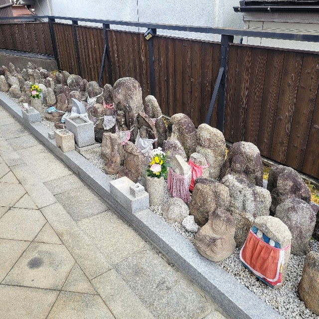 f:id:atoriatoriatori:20250120122458j:image