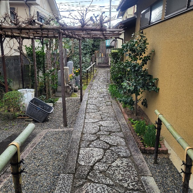 f:id:atoriatoriatori:20250120122545j:image