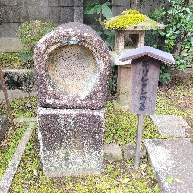 f:id:atoriatoriatori:20250120122755j:image