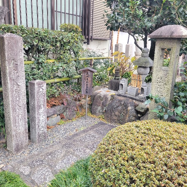 f:id:atoriatoriatori:20250120122813j:image