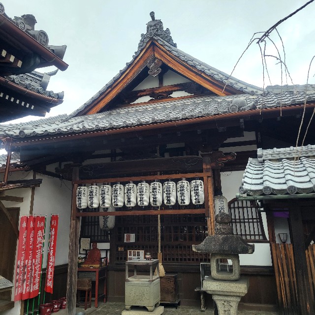 f:id:atoriatoriatori:20250120130321j:image