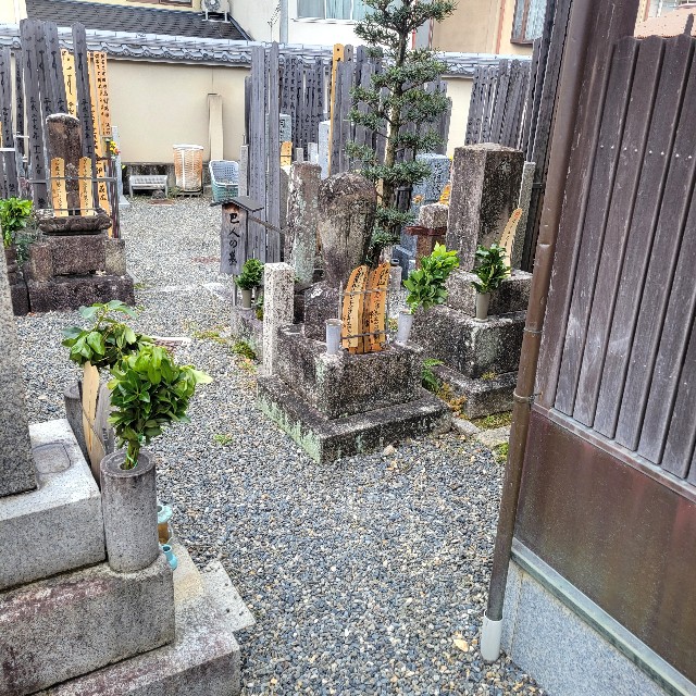 f:id:atoriatoriatori:20250120130609j:image