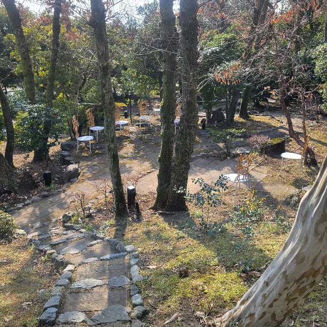 f:id:atoriatoriatori:20250128121650j:image