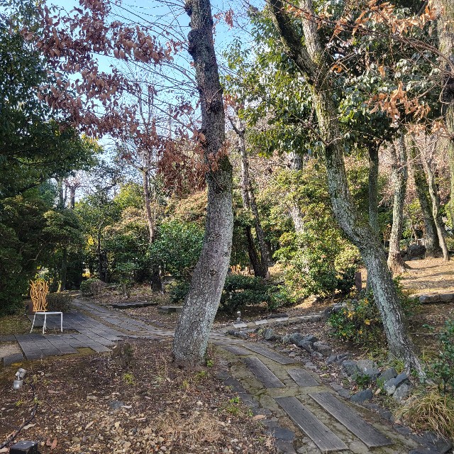 f:id:atoriatoriatori:20250128121726j:image