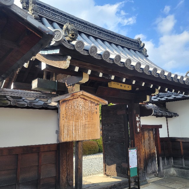 f:id:atoriatoriatori:20250131091922j:image