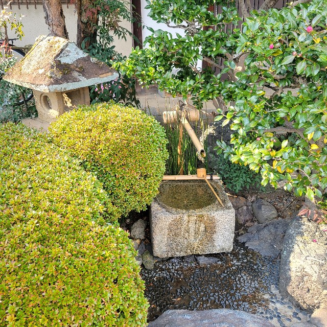 f:id:atoriatoriatori:20250131115941j:image