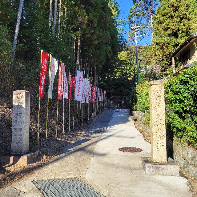f:id:atoriatoriatori:20250210211241j:image