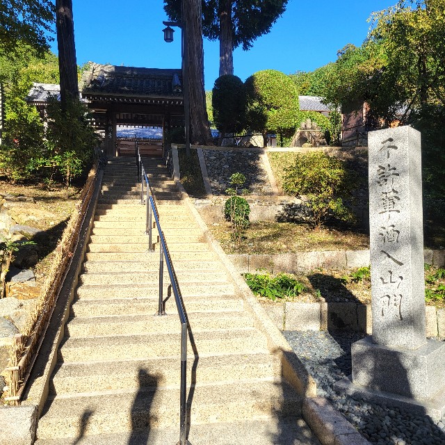 f:id:atoriatoriatori:20250211084003j:image