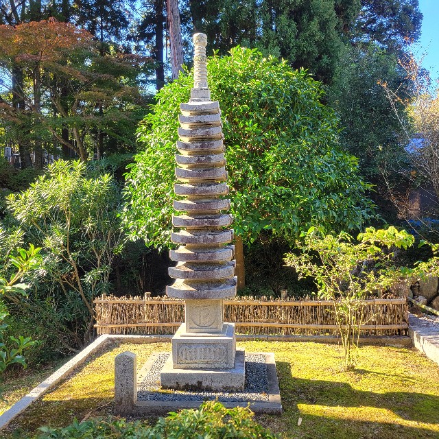 f:id:atoriatoriatori:20250211093837j:image