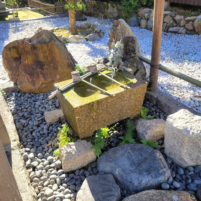 f:id:atoriatoriatori:20250211101720j:image
