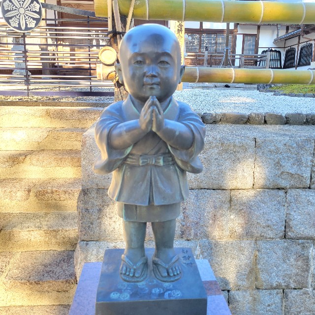 f:id:atoriatoriatori:20250211101759j:image