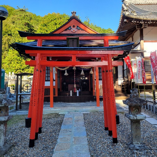 f:id:atoriatoriatori:20250211111151j:image