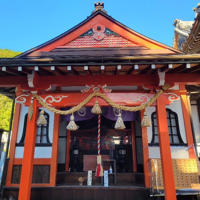 f:id:atoriatoriatori:20250211111159j:image