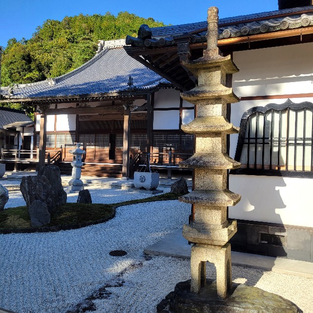 f:id:atoriatoriatori:20250211133619j:image