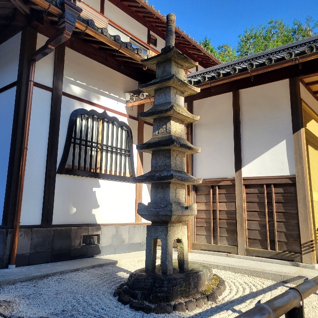 f:id:atoriatoriatori:20250211133627j:image
