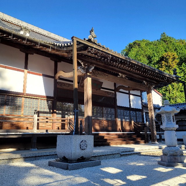 f:id:atoriatoriatori:20250211133946j:image