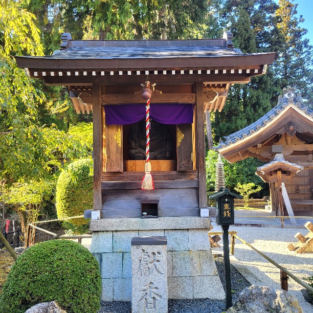 f:id:atoriatoriatori:20250211142640j:image