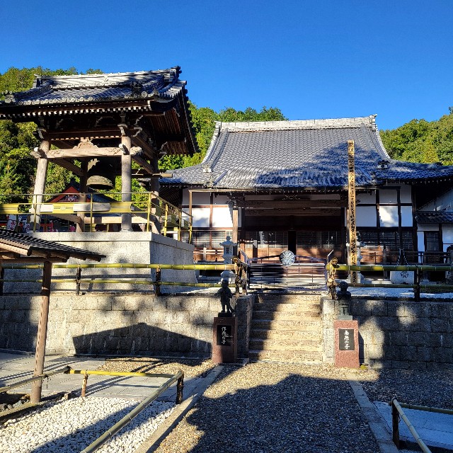 f:id:atoriatoriatori:20250211143424j:image