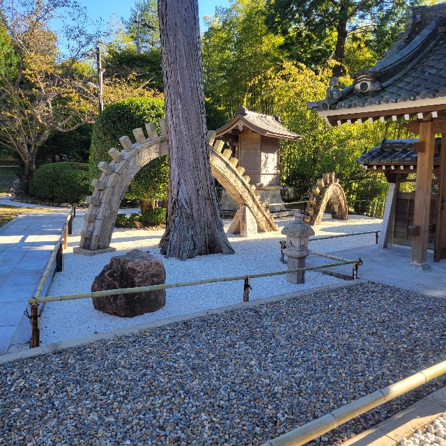 f:id:atoriatoriatori:20250211143713j:image