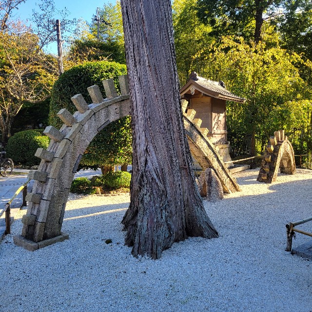 f:id:atoriatoriatori:20250211143726j:image