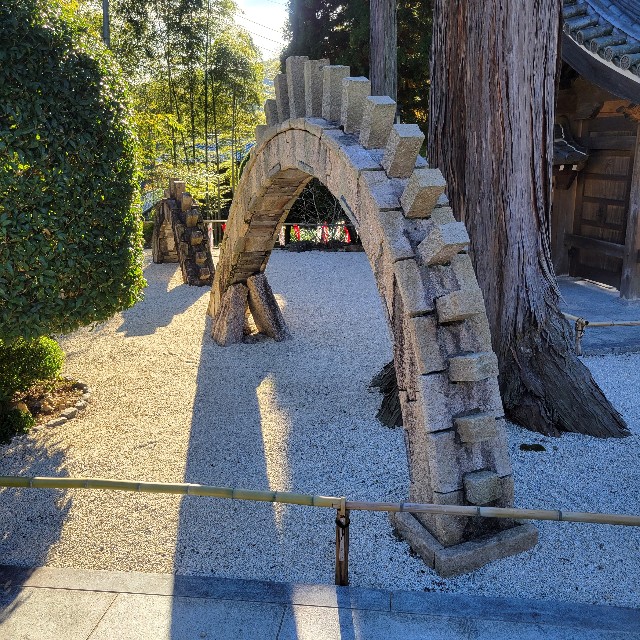 f:id:atoriatoriatori:20250211143744j:image