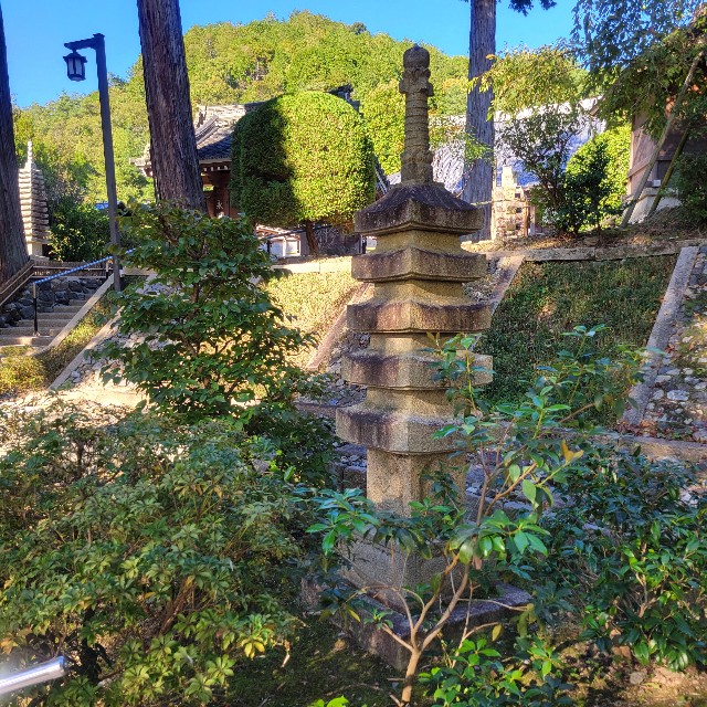 f:id:atoriatoriatori:20250211154706j:image