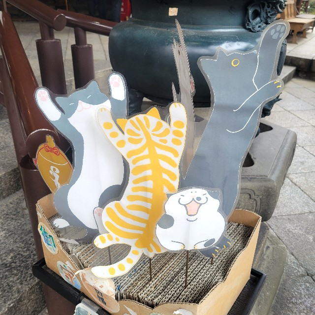 f:id:atoriatoriatori:20250218100841j:image