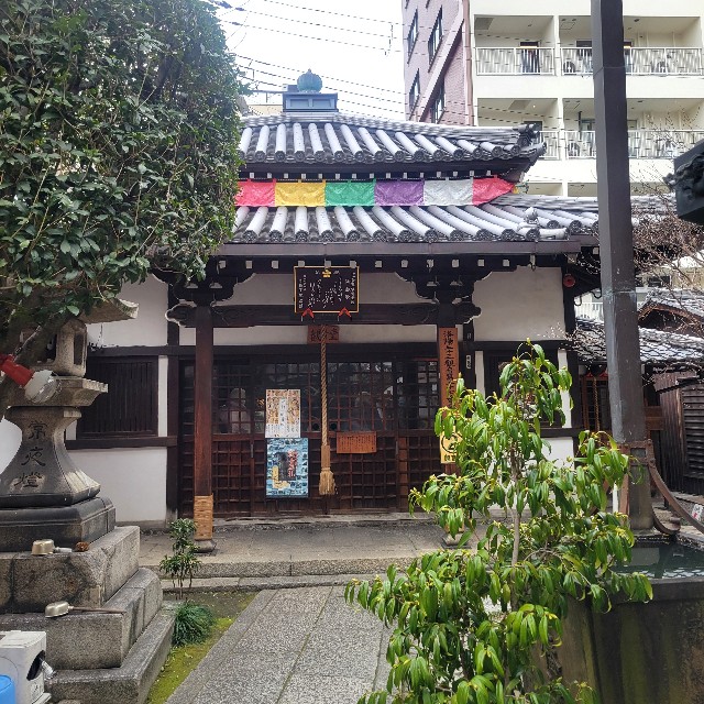 f:id:atoriatoriatori:20250218100918j:image