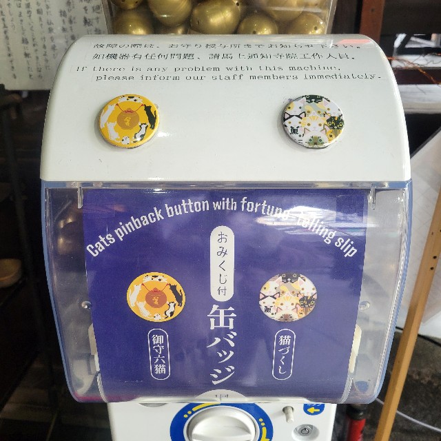 f:id:atoriatoriatori:20250218113115j:image