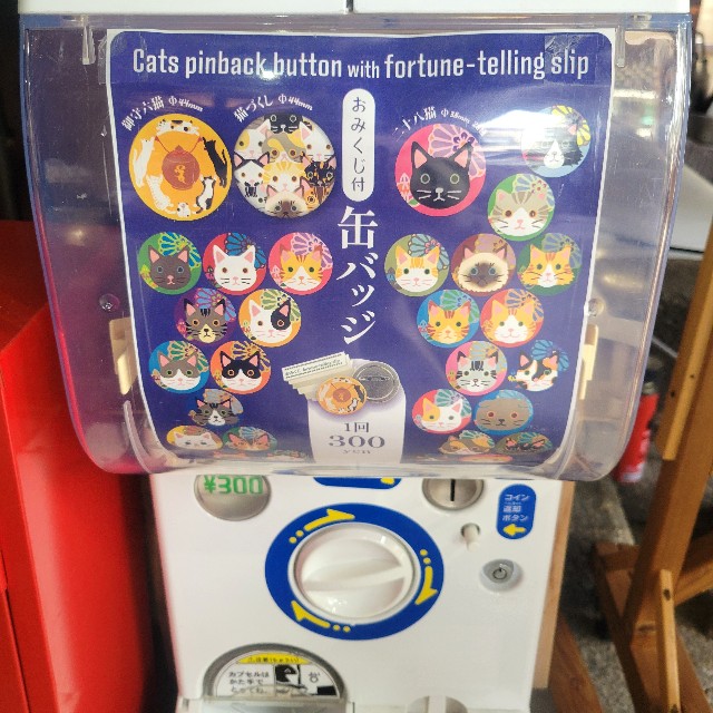 f:id:atoriatoriatori:20250218113123j:image