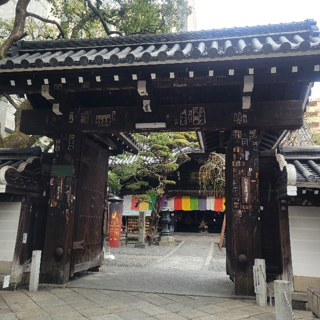 f:id:atoriatoriatori:20250219211414j:image