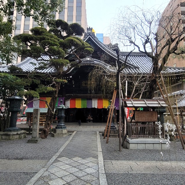 f:id:atoriatoriatori:20250220083428j:image