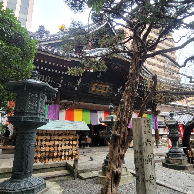f:id:atoriatoriatori:20250220083436j:image