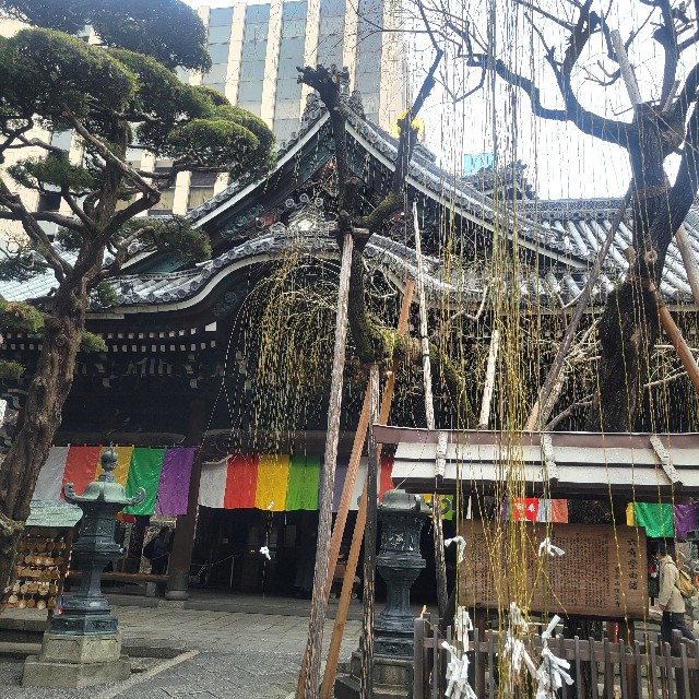 f:id:atoriatoriatori:20250220083444j:image