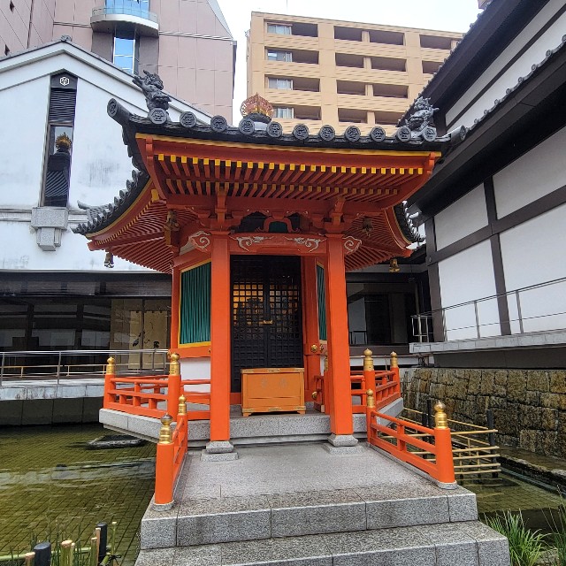 f:id:atoriatoriatori:20250220095633j:image