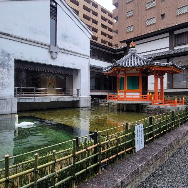 f:id:atoriatoriatori:20250220095641j:image