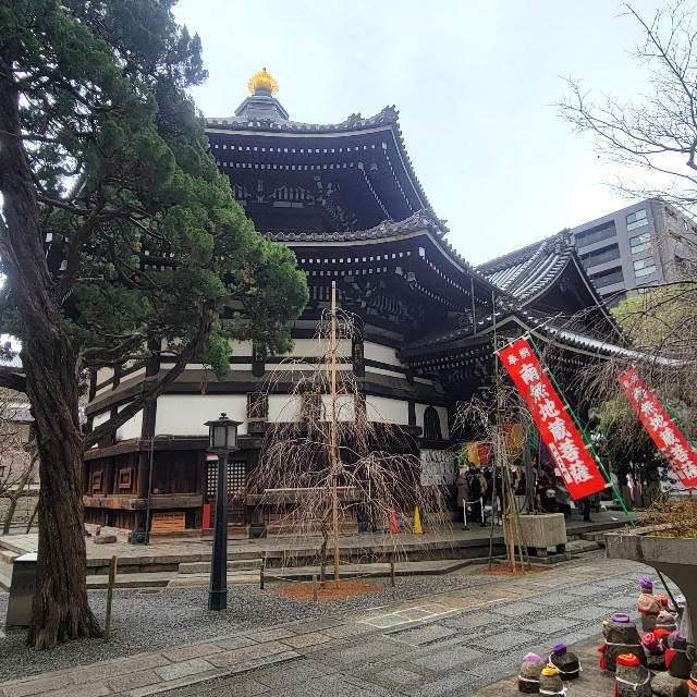f:id:atoriatoriatori:20250220104022j:image