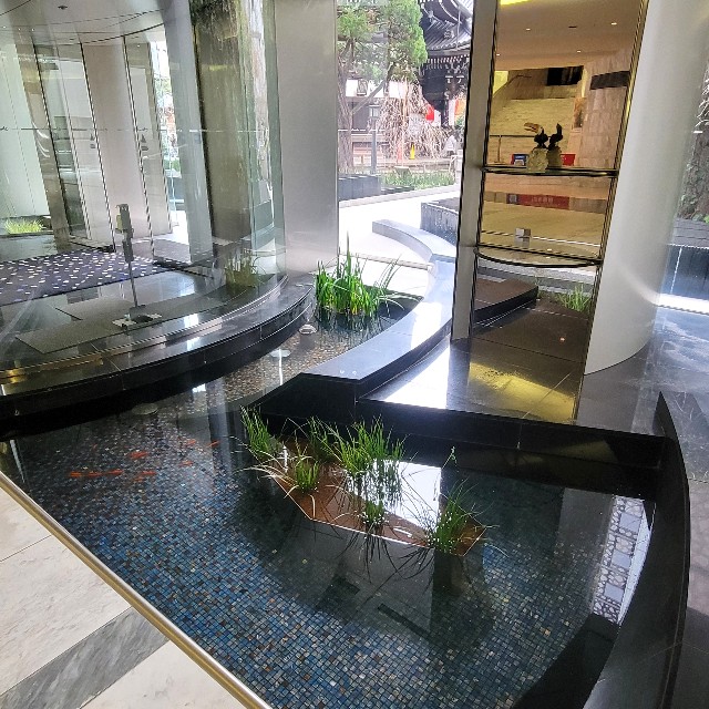 f:id:atoriatoriatori:20250220120333j:image