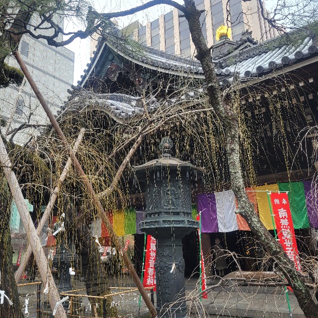 f:id:atoriatoriatori:20250220141447j:image