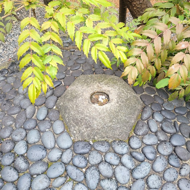 f:id:atoriatoriatori:20250220141520j:image