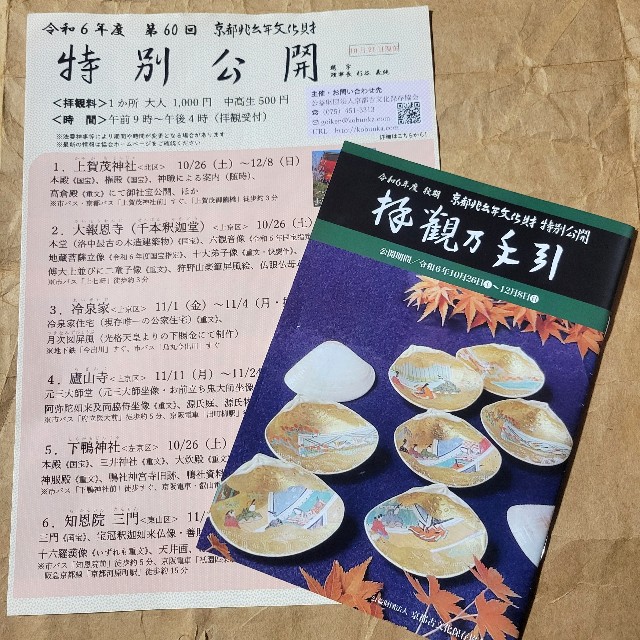 f:id:atoriatoriatori:20250223112707j:image