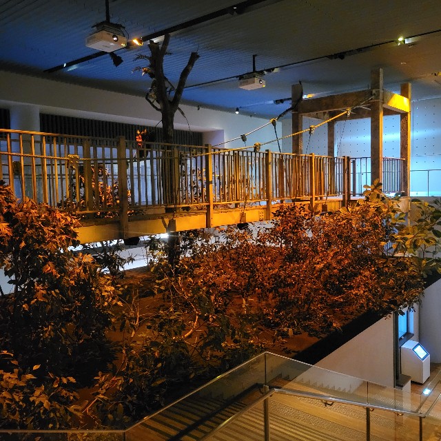 f:id:atoriatoriatori:20250227092617j:image