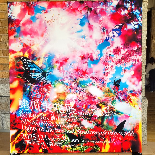 f:id:atoriatoriatori:20250227222013j:image