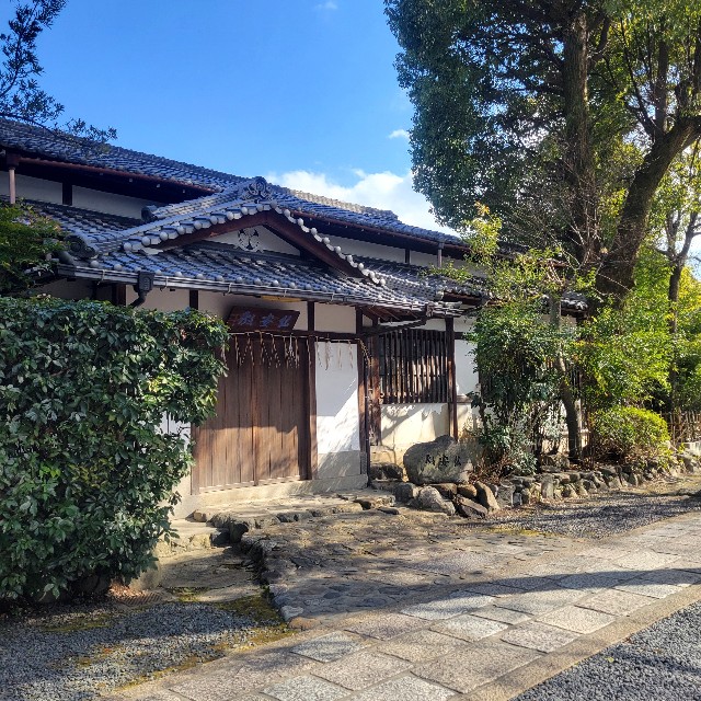 f:id:atoriatoriatori:20250304183846j:image f:id:atoriatoriatori:20250304183846j:image