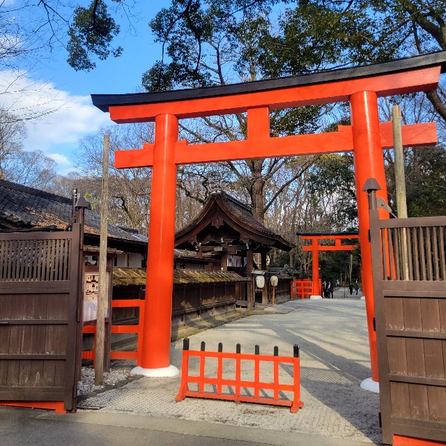 f:id:atoriatoriatori:20250305103048j:image