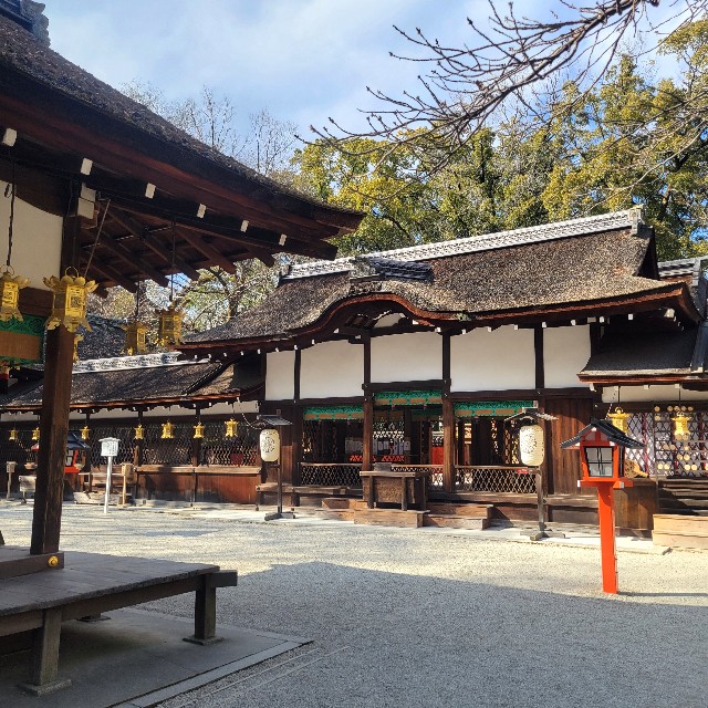 f:id:atoriatoriatori:20250305105813j:image