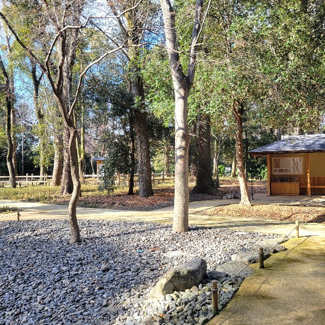 f:id:atoriatoriatori:20250305140859j:image