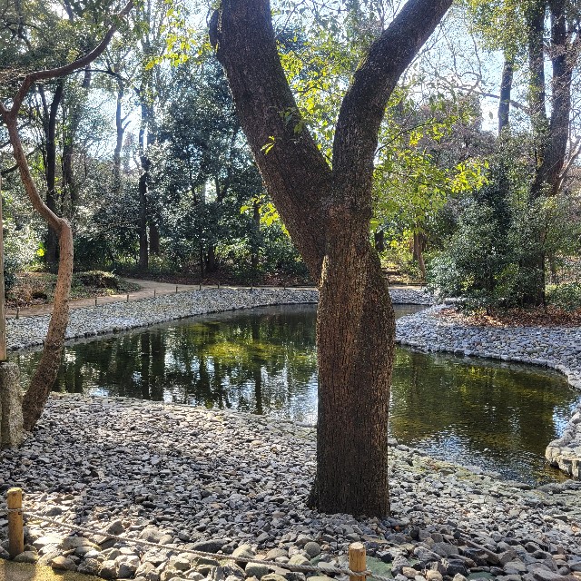 f:id:atoriatoriatori:20250305140908j:image